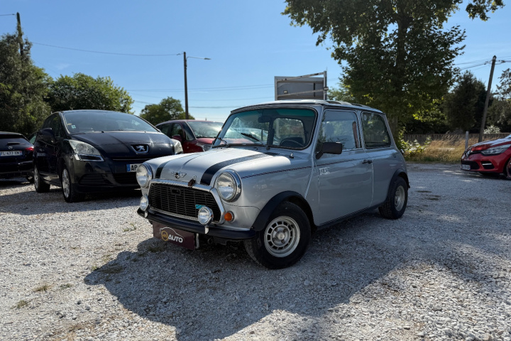 ROVER MINI